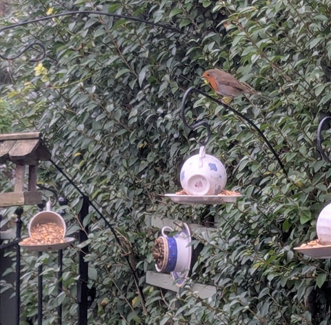 We're still feeding the birds.