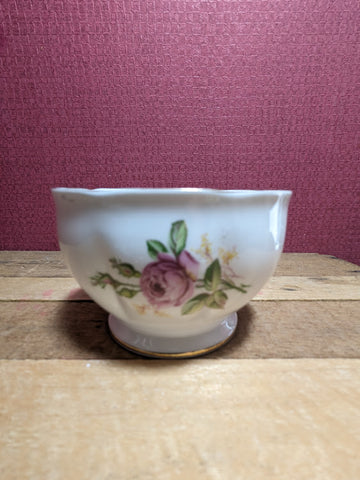 Queen Anne Bone China Sugar Bowl