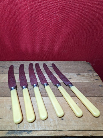 Vintage Stainless Steel Dinner Knives