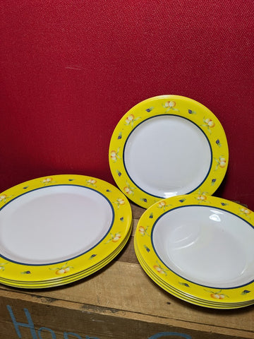 Plastic Melamine Plate and Dish Set