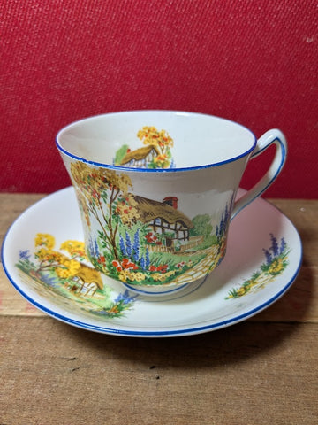 James Kent Sunnyside Design Tea Cup and Saucer