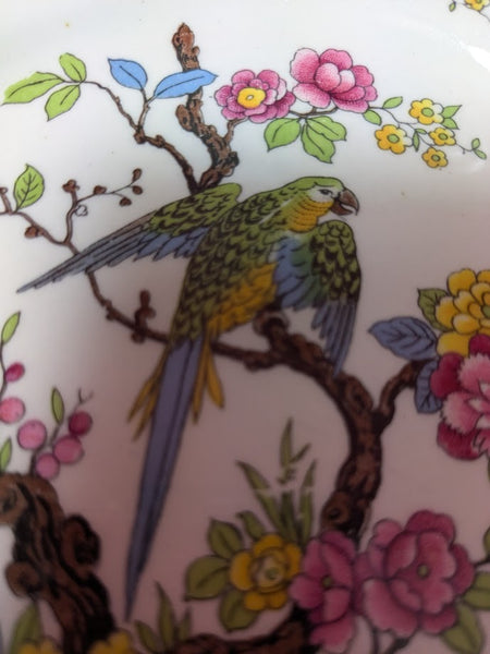 Crown Ducal Ware Parrot Design Side Plates x 6