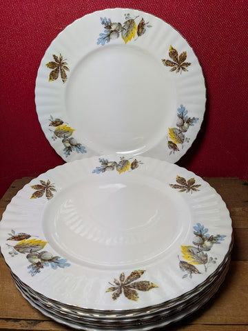 Richmond Dinner Plates x 6