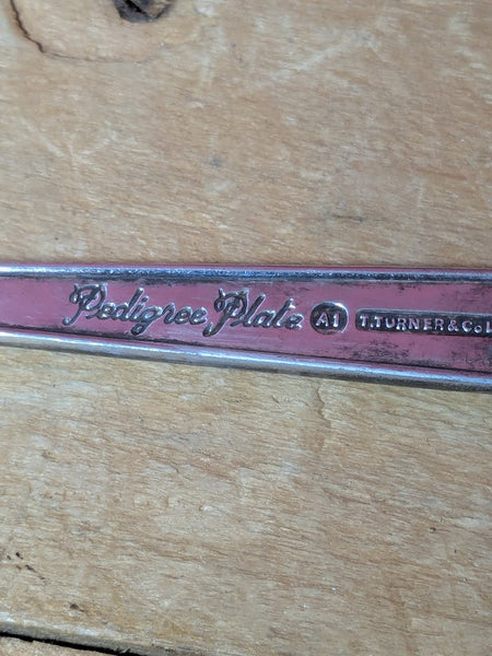 T Turner & Co Pedigree Plate Dessert or Jelly Spoons x 2