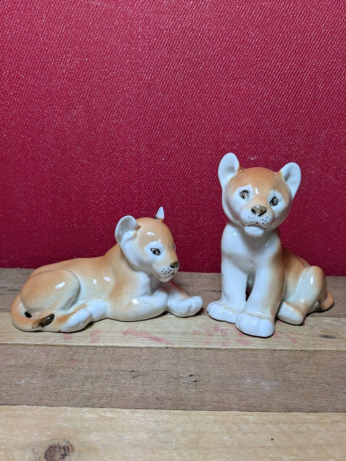 Lomonsov Lion Cubs
