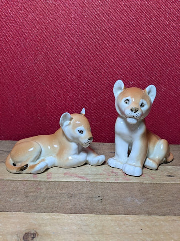 Lomonsov Lion Cubs