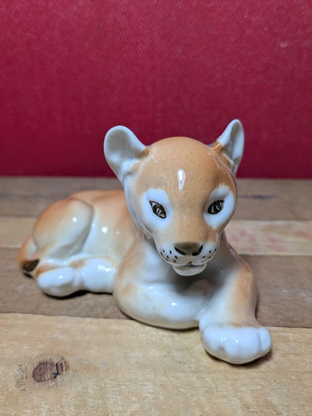 Lomonsov Lion Cubs
