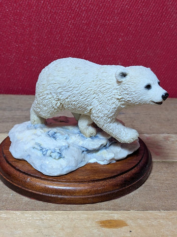 Polar Bear On Ice