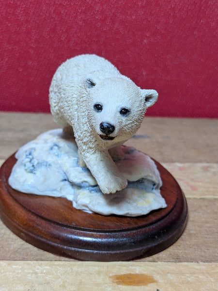 Polar Bear On Ice
