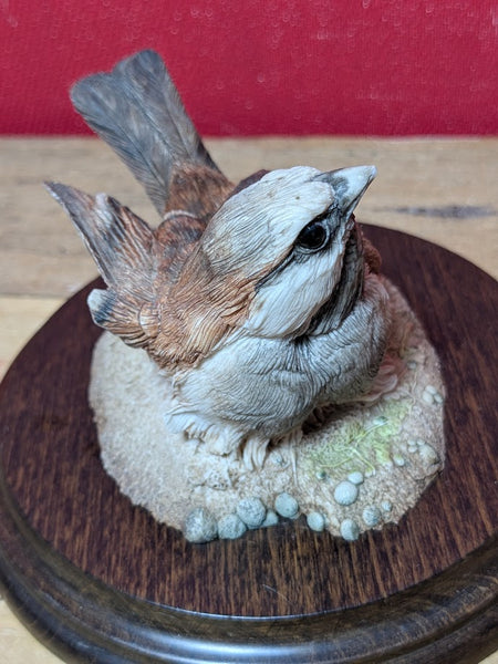 Country Artist Sparrow taking a dust bath