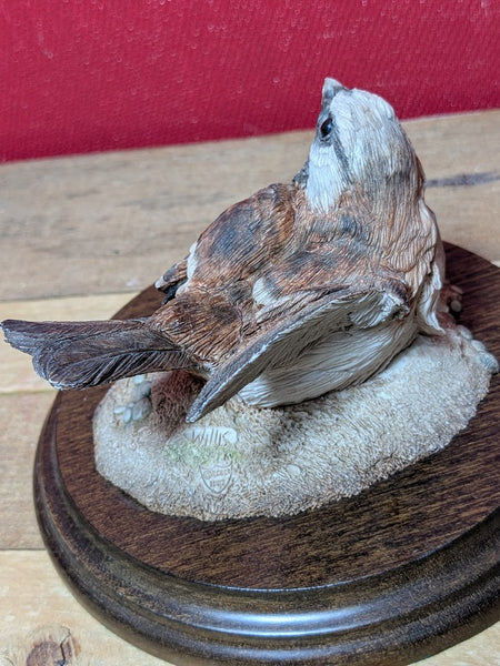 Country Artist Sparrow taking a dust bath