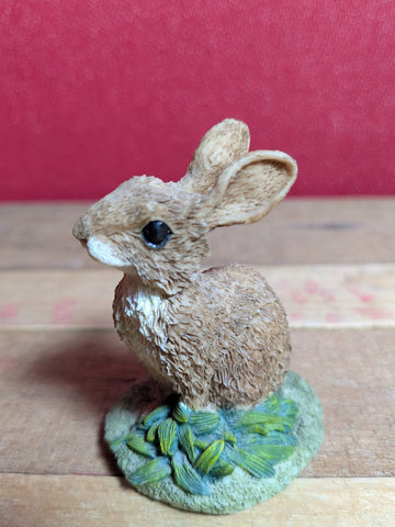 Rabbit from The Leonardo Collection