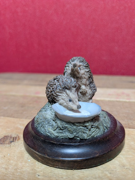 Hedgehogs by Country Artists