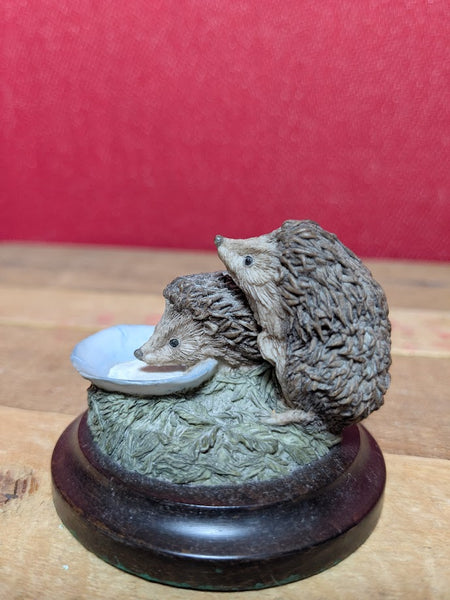 Hedgehogs by Country Artists