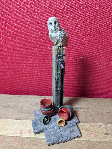 Barn Owl by Leonardo Collection