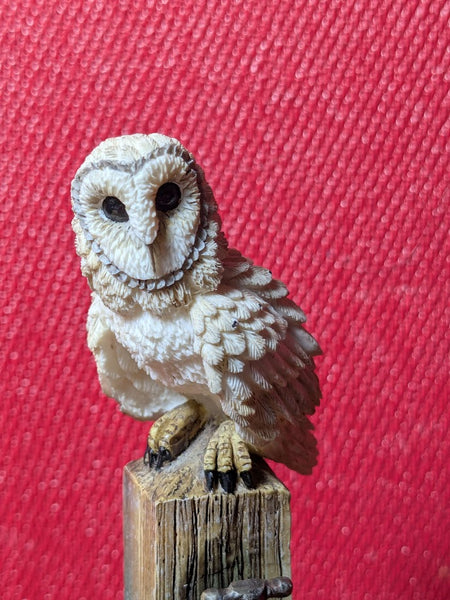 Barn Owl by Leonardo Collection