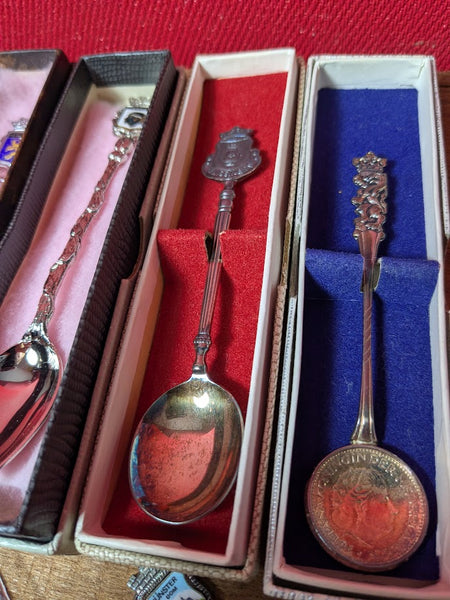 Collection of Souvenir Collector's Spoon x 16
