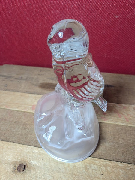 Glass Owl