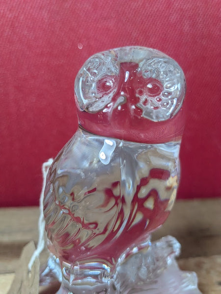 Glass Owl