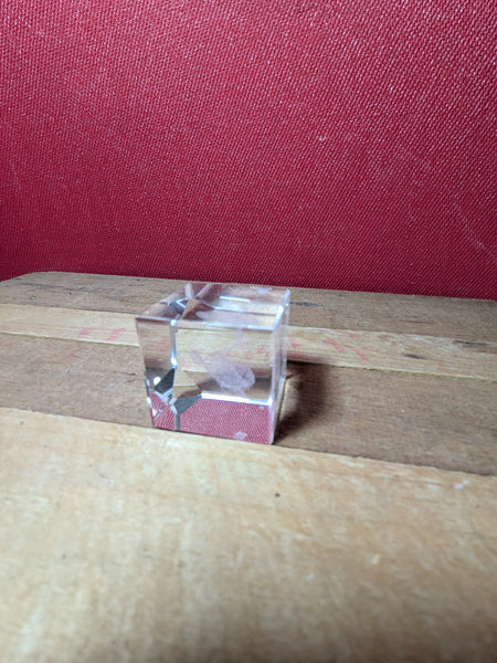 Laser Etched Glass Paper Weight