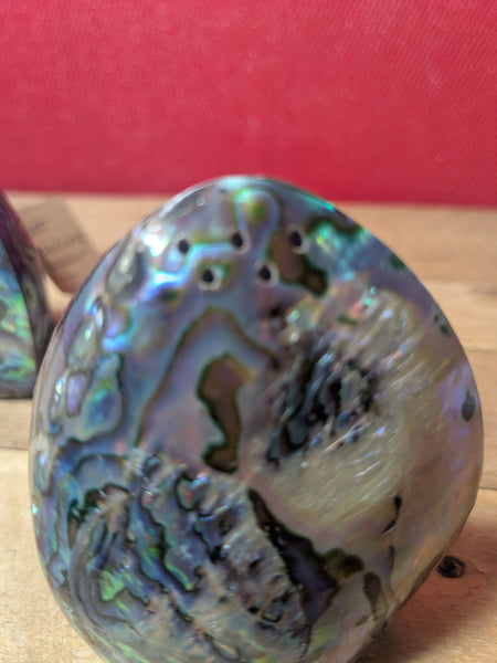 Paua Abalone Salt and Pepper Set