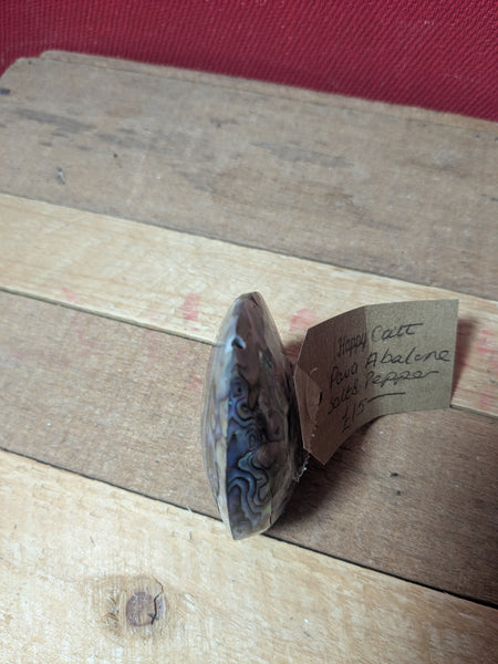 Paua Abalone Salt and Pepper Set