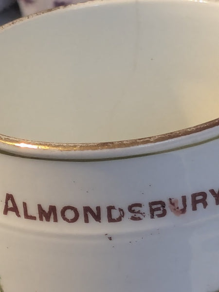 Royal Wintonia Coronation Mug