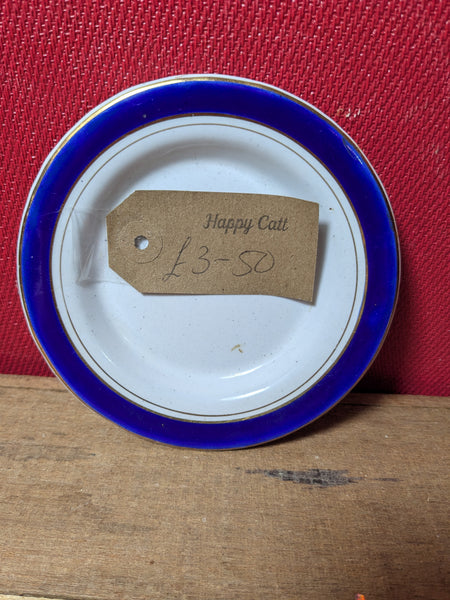 Small Vintage Enamel Plate