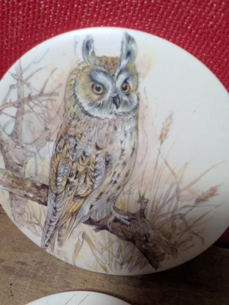 Owl Coaster or Pot Stands
