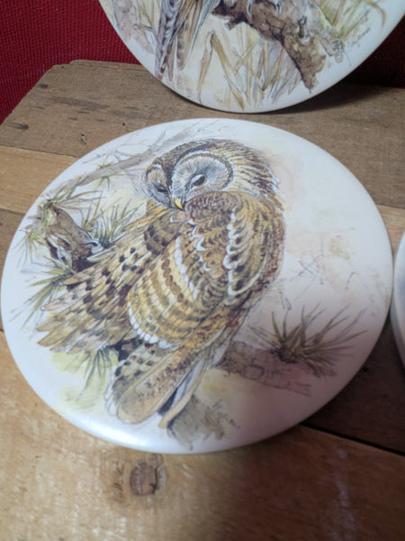 Owl Coaster or Pot Stands