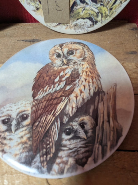 Owl Coaster or Pot Stands