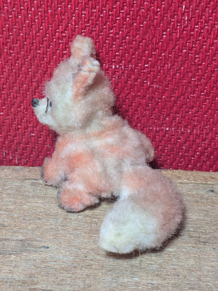 ARA Woolly Fox