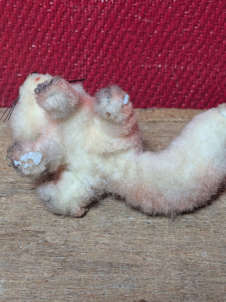 ARA Woolly Fox