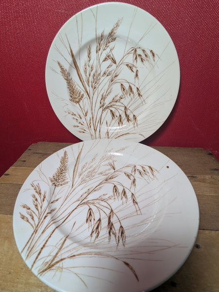 English Ironstone Dinner Plates x 2