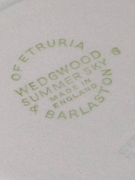 Wedgwood Summer Skies Soup Bowl and Saucer