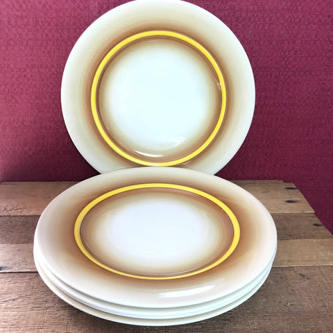 Pareek Vintage Dinner Plates x 4