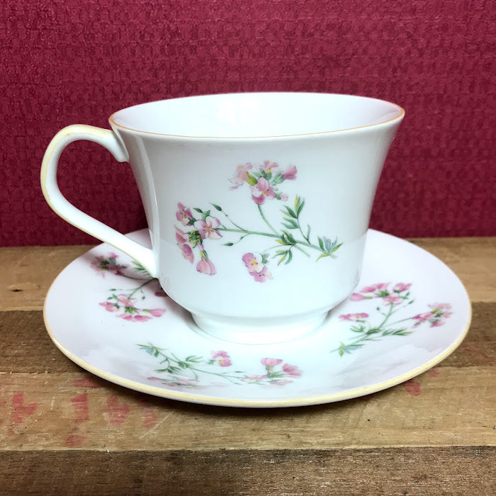 Queen's China Giant Tea Cup and Saucer