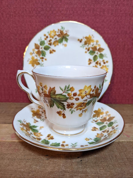 Queen Anne Bone China Medina Trio