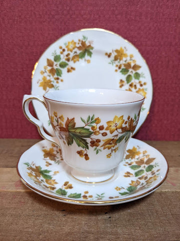 Queen Anne Bone China Medina Trio
