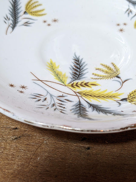 Colclough Stardust Saucers x 4