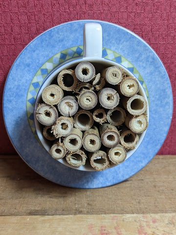 Tea Hive Insect Hotel (2)