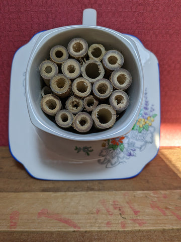 Tea Hive Insect Hotel (3)